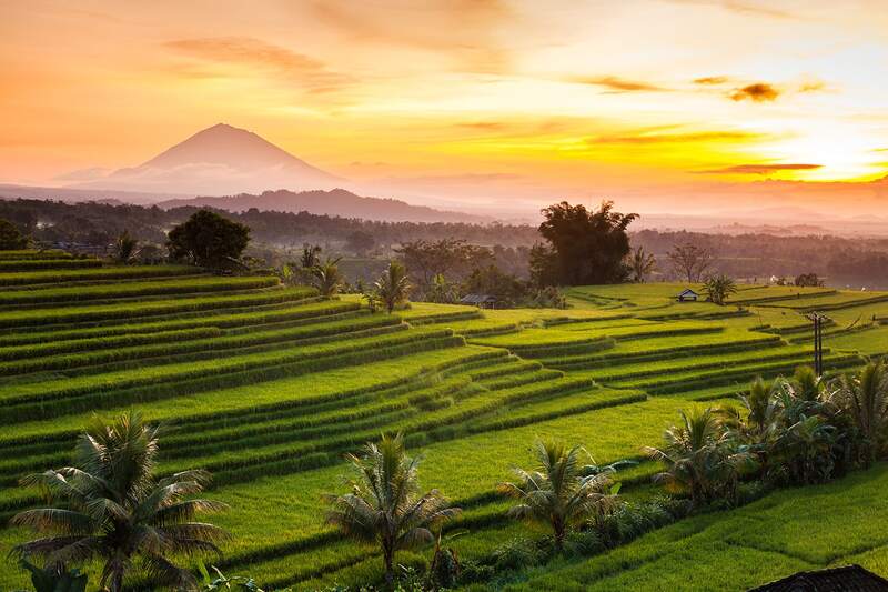 Jatiluwih Rice Terrace, Wisata Bali Dengan Pesona Alamnya